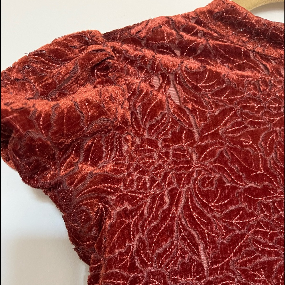 Velvet dress by Free People in very good condition